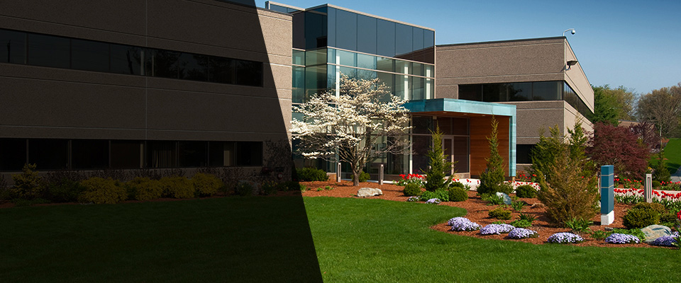 Melissa Landscapers