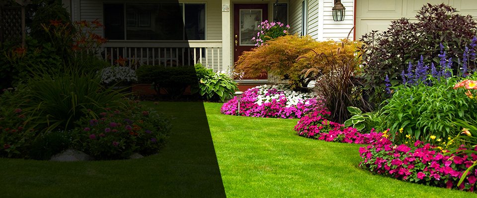 Melissa Landscapers