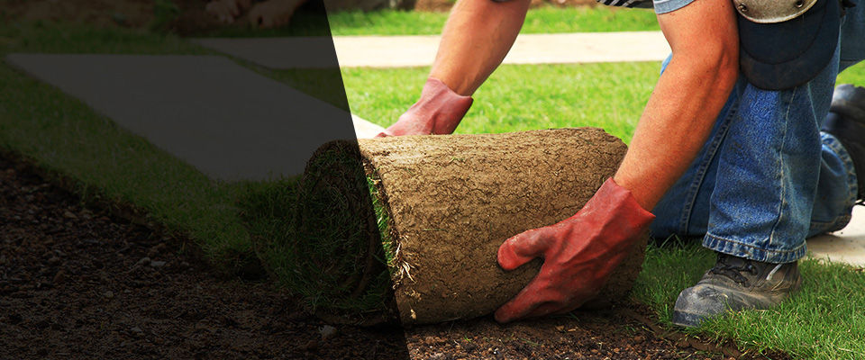 Melissa Landscapers
